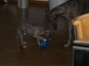ball.JPG