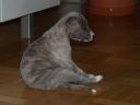 pause.JPG