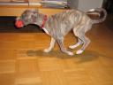 frieda1-small.JPG