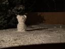p1042988-small.JPG