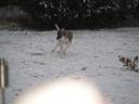 schnee-small.JPG