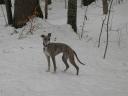 073-small.JPG