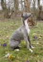 jess-februar-marz-09-13-small.jpg
