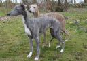 jess-februar-marz-09-15-small.jpg