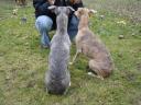 jess-februar-marz-09-21-small.jpg