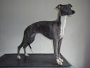 jess-februar-marz-09-6-small.jpg