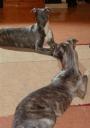jess-februar-marz-09-8-small.jpg