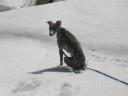 schnee0309.JPG