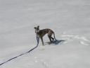 schnee0309i.JPG