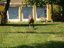 p7055364-medium.JPG
