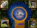 jeebeedlitter140909.jpg