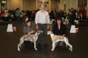 img_1658-medium.JPG