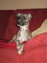 bijou_18_12_09_2-small.jpg