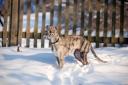 emmi211209-small.jpg