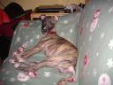 imgp0867-medium.JPG