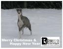 kerst-bhs-2009.jpg