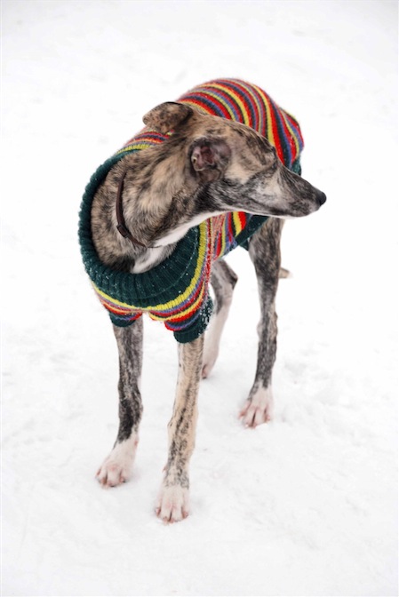 emily3001102-small.jpg