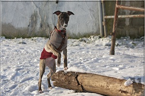 ll2o9916-small.jpg