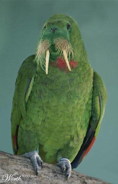 mix14-small.jpg