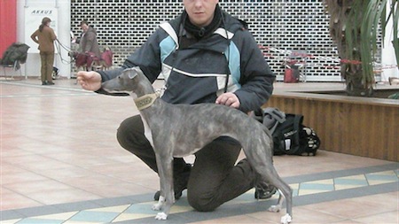 langerwisch4-small.jpg
