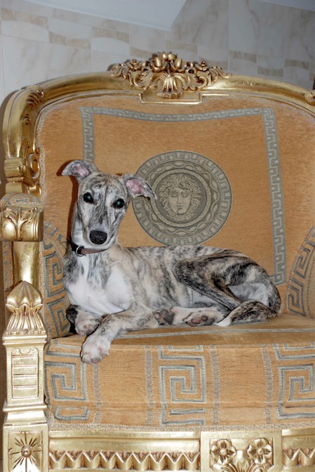 dsc_6211-small.jpg