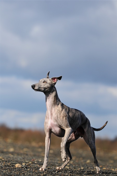 fynn0103107-small.JPG