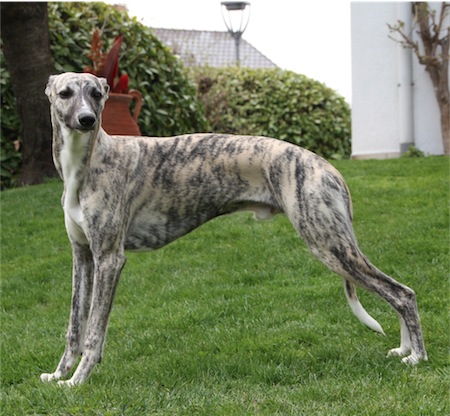 dino-7mo-small.JPG