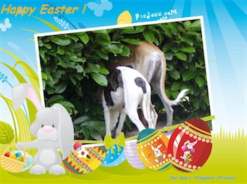 happy-easter-2010-eden-hanzala-small.jpg