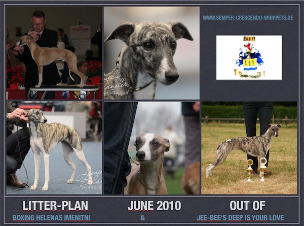 litter-plan-foto-small.jpg