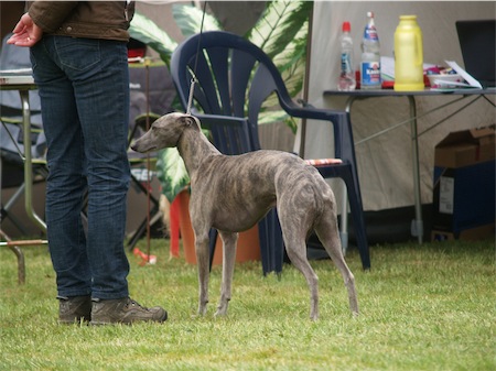 fynn2-small.JPG