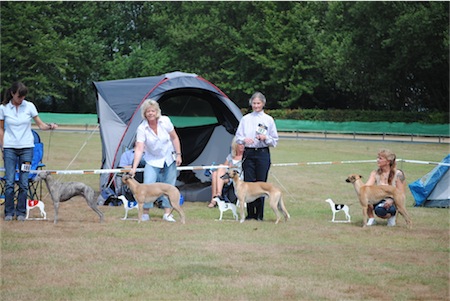 dsc_1008-small.JPG