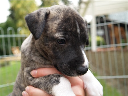 p7270174-small.JPG