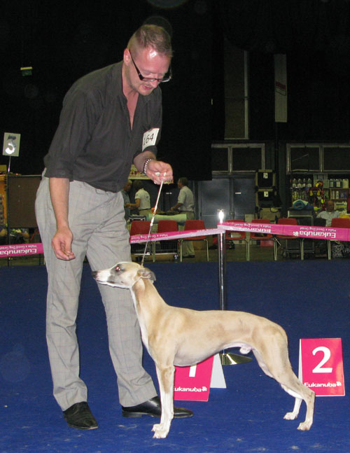 pax_bob_genk_2010.jpg