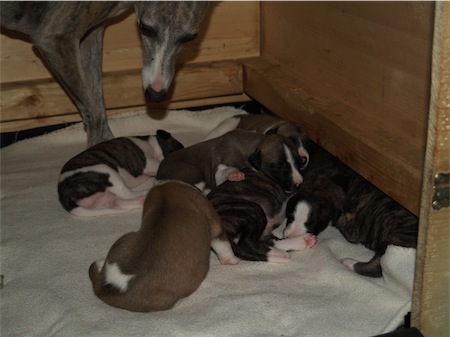 tante-grace-small.JPG