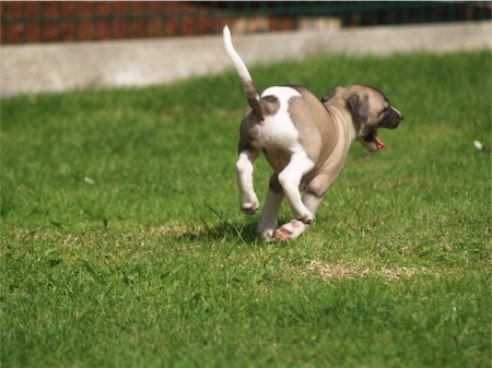 pace0508_2-small.JPG