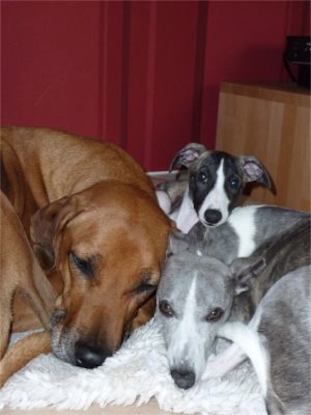 drei-damen-small.jpg