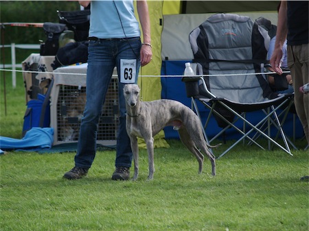fynn1109-small.JPG