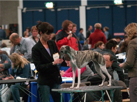 maastricht_kissy_1-small.JPG