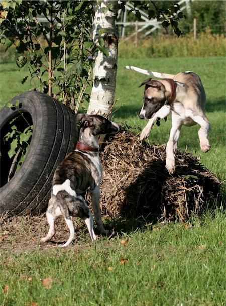 11_10_2010_3-1-small.JPG