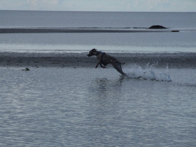 dscf3720-640×480.JPG
