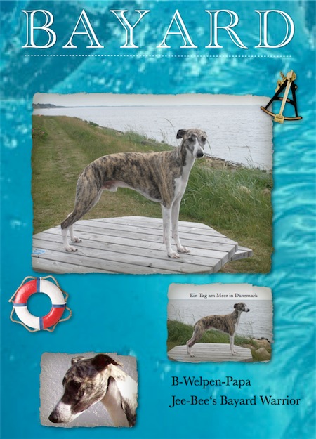 card_am_meer-small.jpg