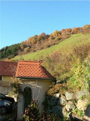 dscn7916-small.jpg
