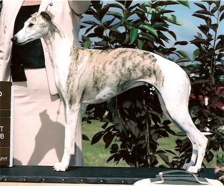 erin-small.jpg