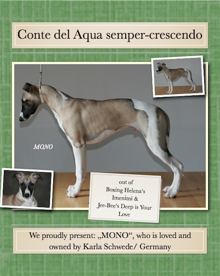 mono_wy_3-small.jpg