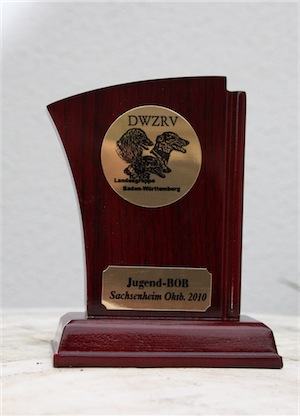 pokal_2-small.JPG