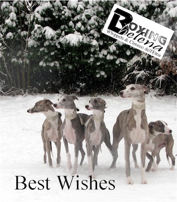 best-wishes-2010-small.jpg