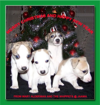 christmascard2010-small.jpg
