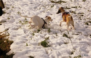 image001-small-small.jpg