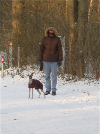 img_5188_schnee-small.jpg