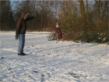 img_5215_schnee-small.jpg